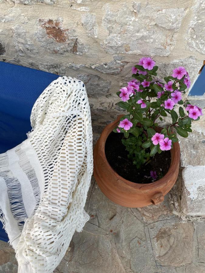 Marina Castellana Studios II Chalki Town Exterior photo