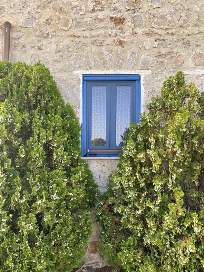 Marina Castellana Studios II Chalki Town Exterior photo